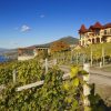 Canada’s Napa Across the Valley Tour -7 Hours - Image 2