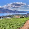 Canada’s Napa Across the Valley Tour -7 Hours - Image 3